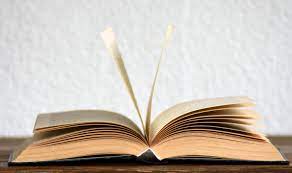Guía Básica para Escribir tu Propio Libro: Pasos y Consejos Esenciales